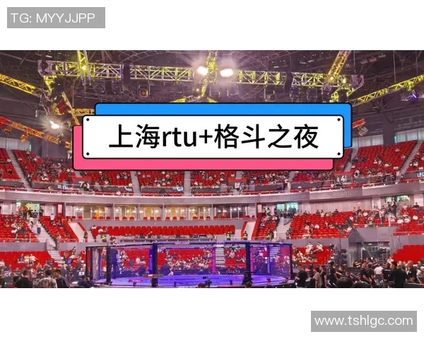 MMA格斗之夜震撼来袭全场高燃KO瞬间集锦回顾