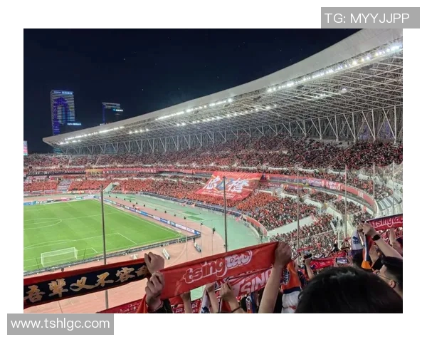 中超赛场再现争议行为引发球迷热议各方观点激烈碰撞