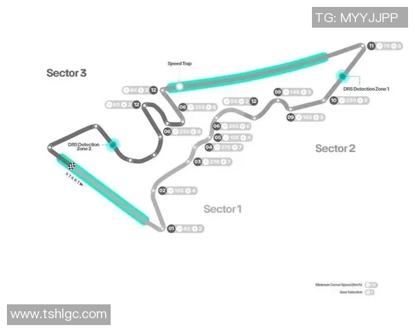 F1赛季赛道适应策略分析及车队表现深度评析